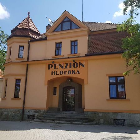 Penzion Hudebka ロウニ エクステリア 写真